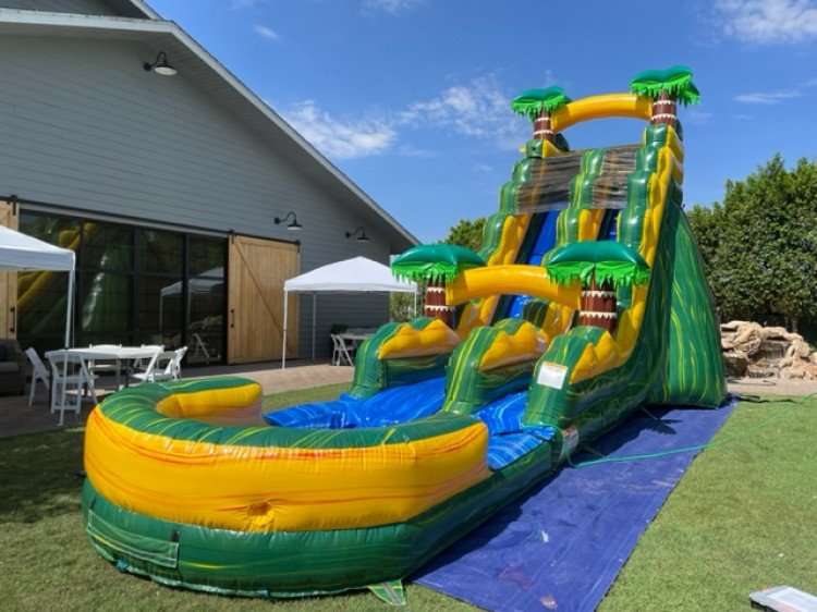 Cali Palms 19ft Water Slide